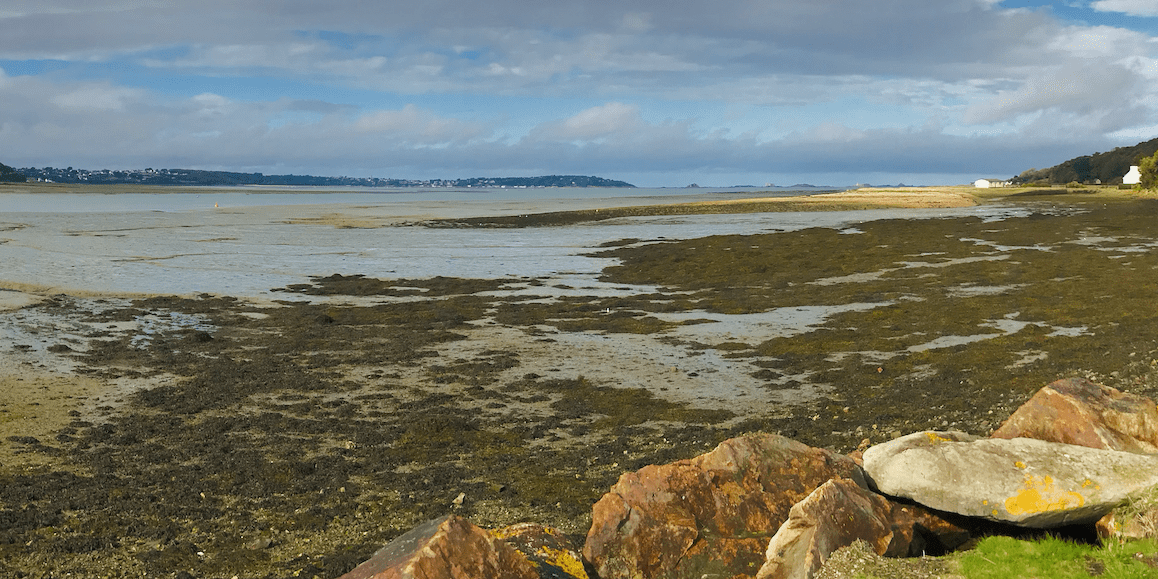 Screenshot 2024-11-13 at 17_34_45